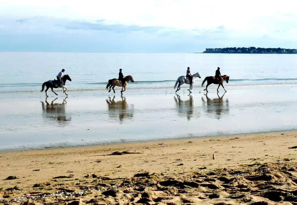 Balade à Cheval sur la plage de Deauville