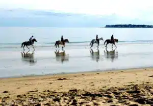 Balade à Cheval sur la plage de Deauville