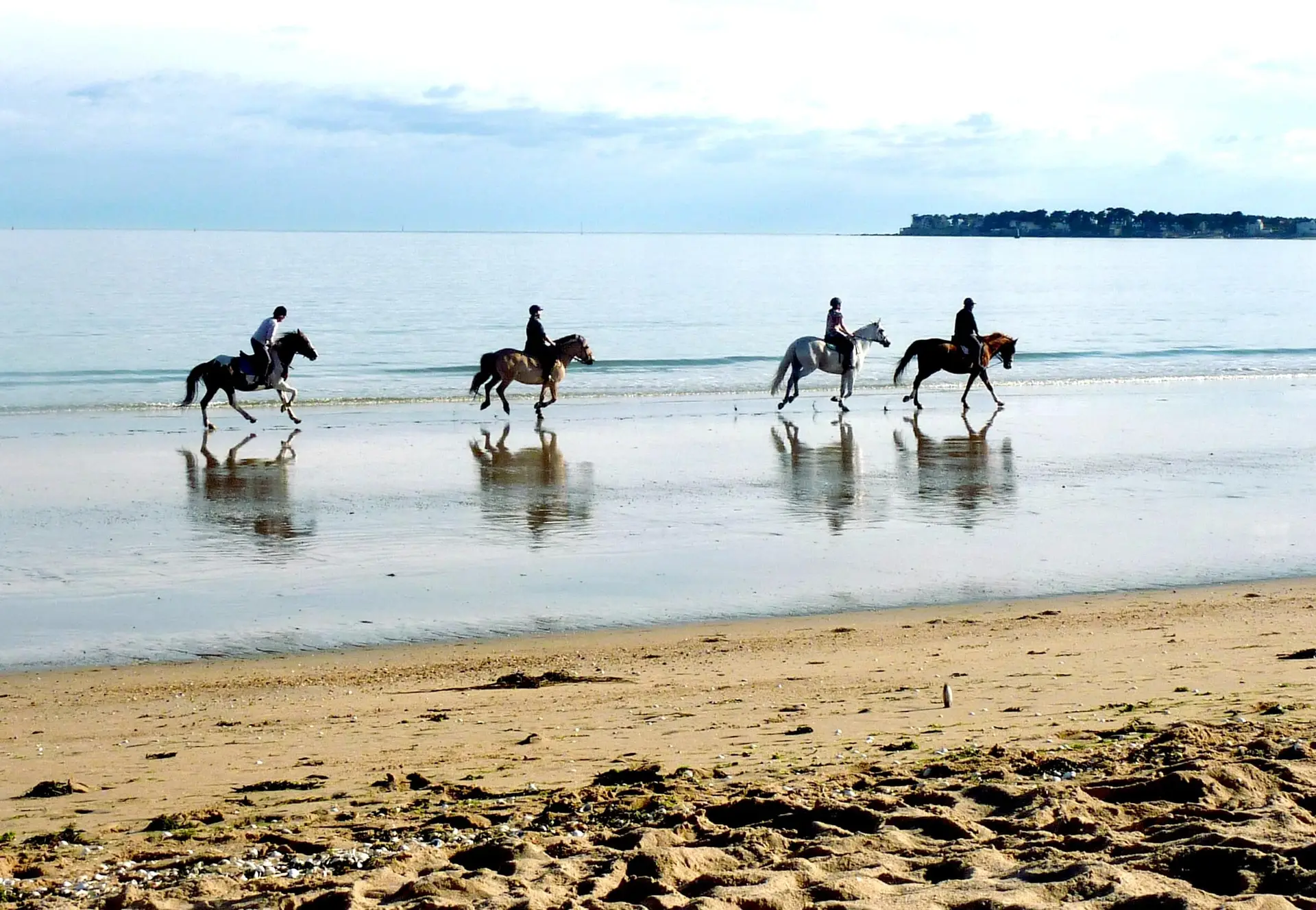Team building Deauville - Balade à cheval sur la plage de Deauville pour équipes d'entreprise