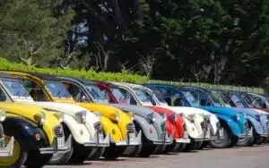 Rally 2C Team Building