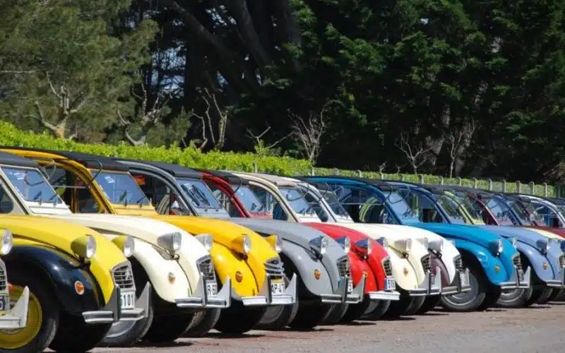 Rally 2C Team Building